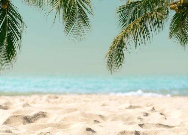 קויירה Amazing Beach Apartment מראה חיצוני תמונה